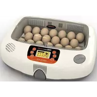 Услуги по инкубации яиц