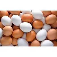 Яйця бройлера в Україні